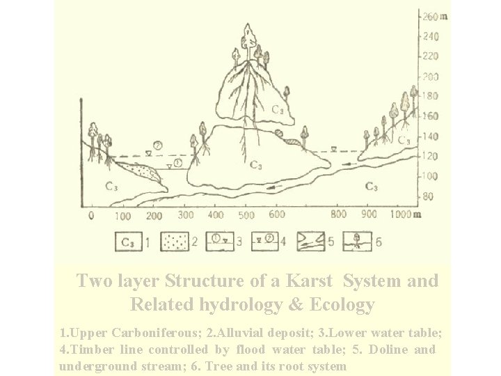 Two layer Structure of a Karst System and Related hydrology & Ecology 1. Upper