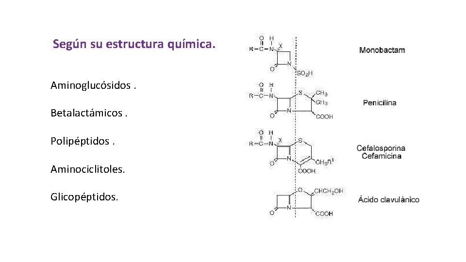 Según su estructura química. Aminoglucósidos. Betalactámicos. Polipéptidos. Aminociclitoles. Glicopéptidos. 