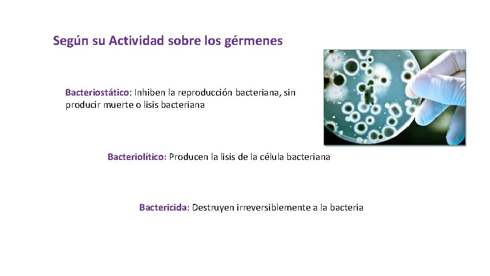 Según su Actividad sobre los gérmenes Bacteriostático: Inhiben la reproducción bacteriana, sin producir muerte