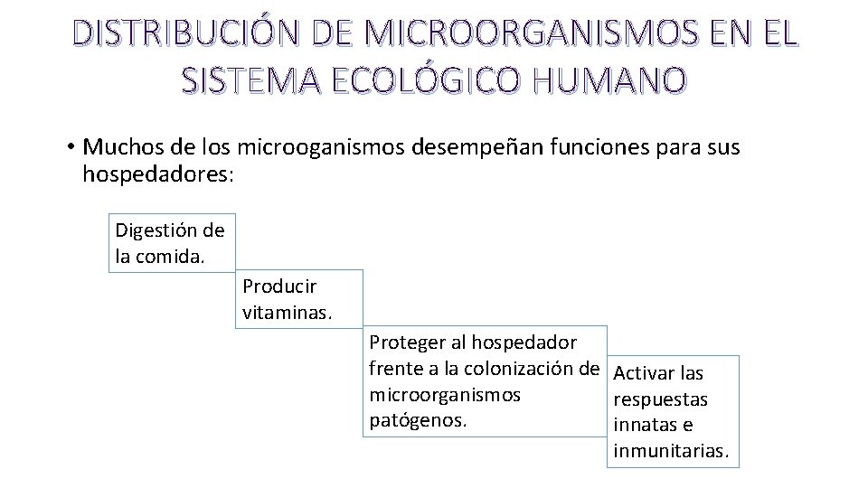 DISTRIBUCIÓN DE MICROORGANISMOS EN EL SISTEMA ECOLÓGICO HUMANO • Muchos de los microoganismos desempeñan