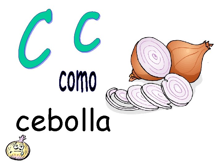 cebolla 