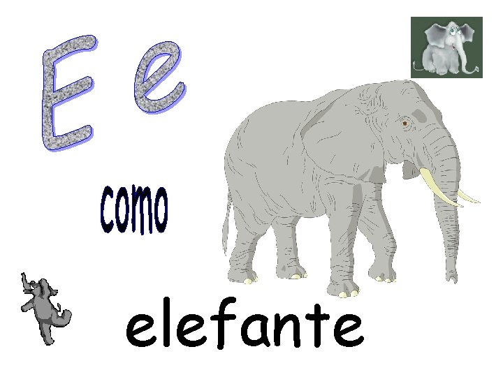 elefante 