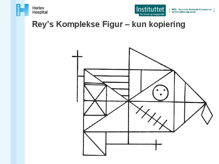 Rey’s Komplekse Figur – kun kopiering 