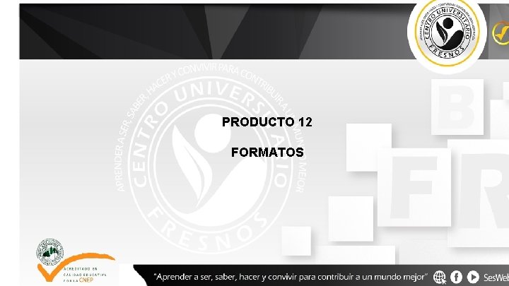 PRODUCTO 12 FORMATOS 