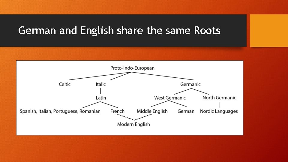 German and English share the same Roots 