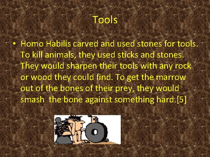 Tools • Homo Habilis carved and used stones for tools. To kill animals, they