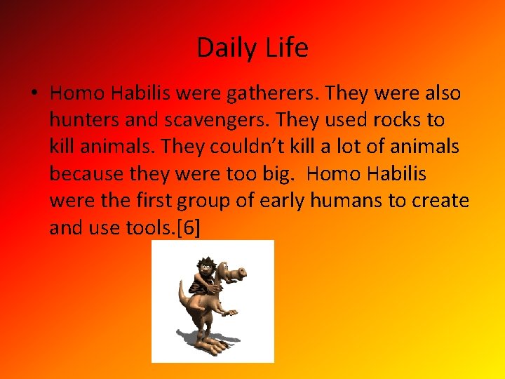 Daily Life • Homo Habilis were gatherers. They were also hunters and scavengers. They