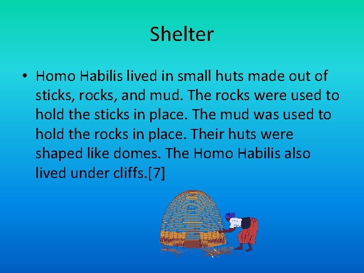 Shelter • Homo Habilis lived in small huts made out of sticks, rocks, and