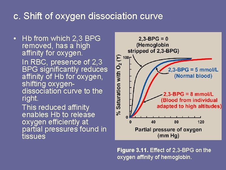c. Shift of oxygen dissociation curve • Hb from which 2, 3 BPG removed,
