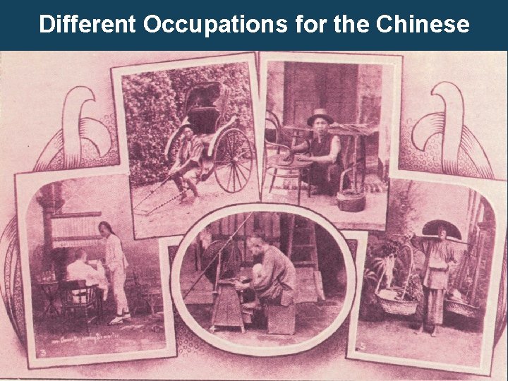 Different Occupations for the Chinese 