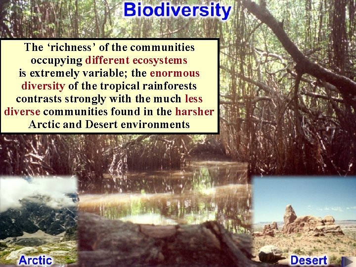 The ‘richness’ of the communities occupying different ecosystems is extremely variable; the enormous diversity The ‘richness’ of the communities occupying different ecosystems is extremely variable; the enormous diversity