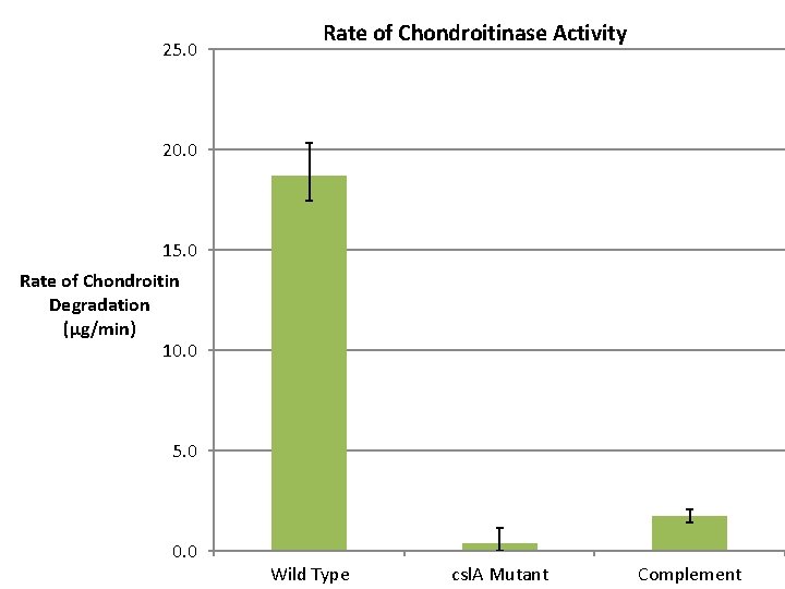 25. 0 Rate of Chondroitinase Activity 20. 0 15. 0 Rate of Chondroitin Degradation