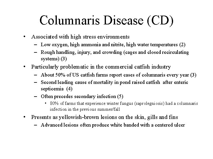 Columnaris Disease (CD) • Associated with high stress environments – Low oxygen, high ammonia