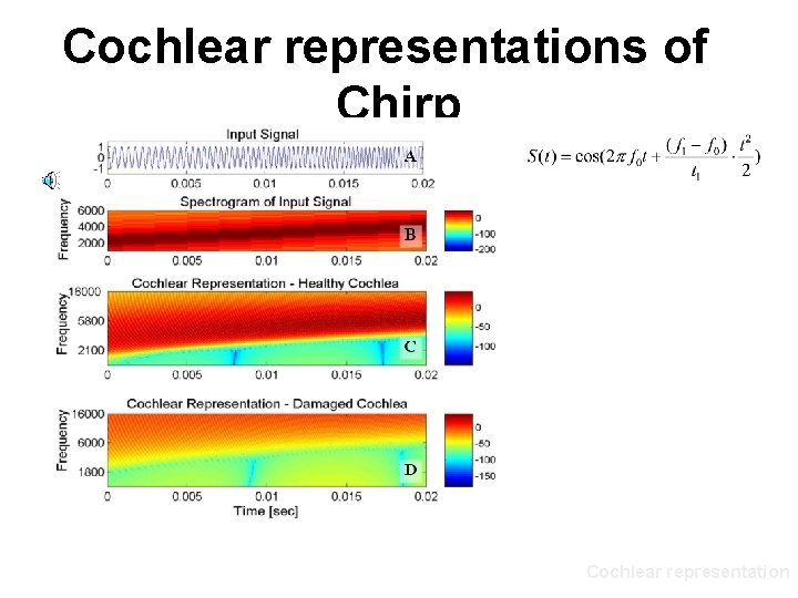 Cochlear representations of Chirp Cochlear representation 