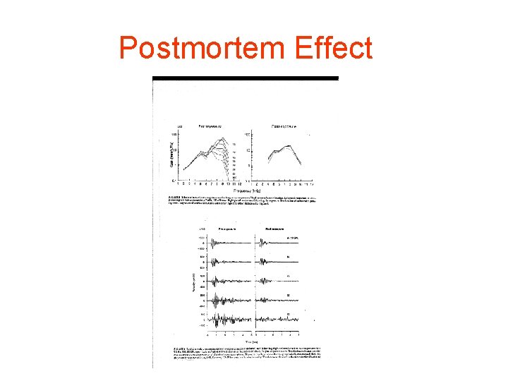 Postmortem Effect 