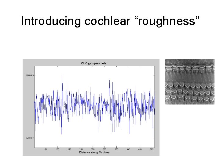 Introducing cochlear “roughness” 