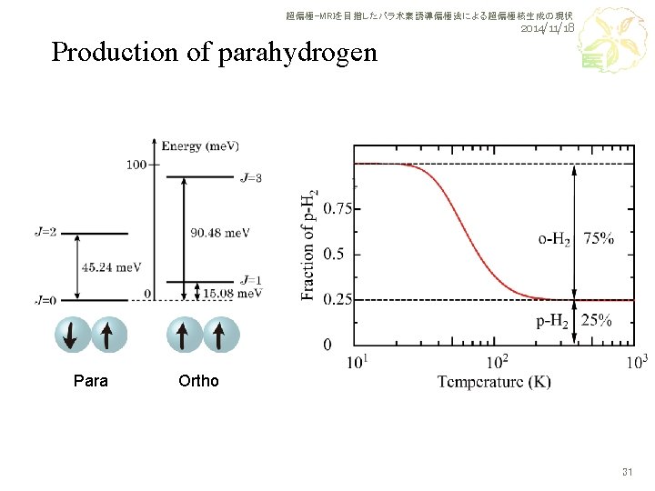 超偏極-MRIを目指したパラ水素誘導偏極法による超偏極核生成の現状 2014/11/18 Production of parahydrogen Para Ortho 31 