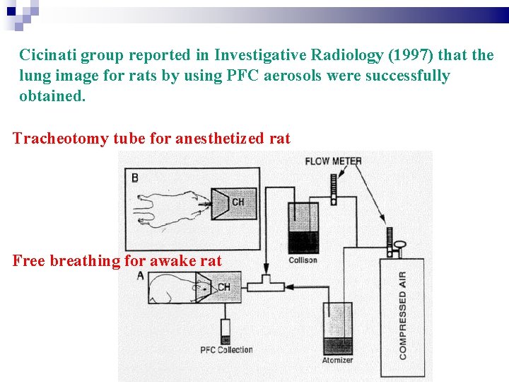 Cicinati group reported in Investigative Radiology (1997) that the lung image for rats by