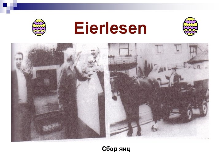 Eierlesen Сбор яиц 