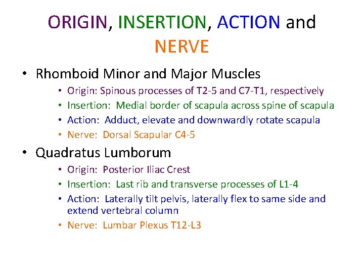 ORIGIN, INSERTION, ACTION and NERVE • Rhomboid Minor and Major Muscles • • Origin: