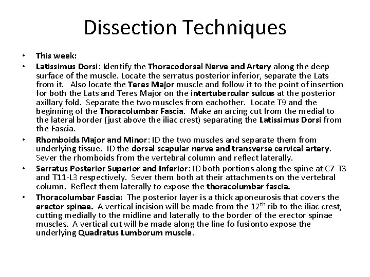 Dissection Techniques • • • This week: Latissimus Dorsi: Identify the Thoracodorsal Nerve and