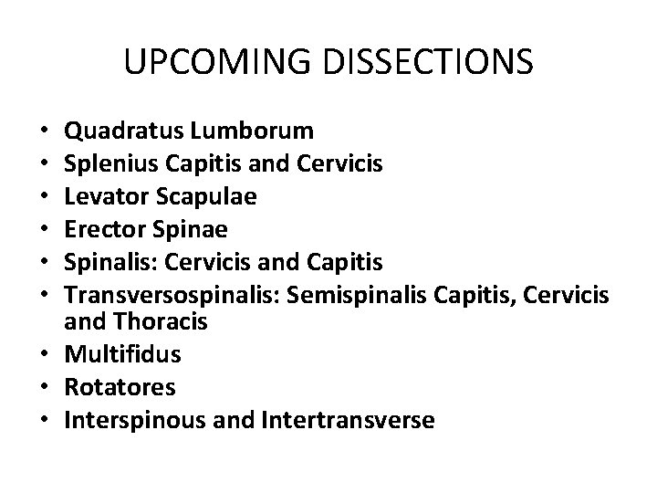 UPCOMING DISSECTIONS Quadratus Lumborum Splenius Capitis and Cervicis Levator Scapulae Erector Spinae Spinalis: Cervicis