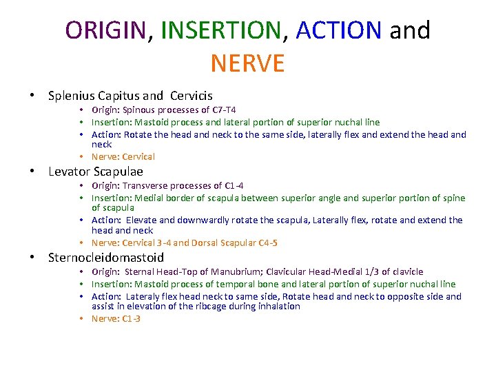 ORIGIN, INSERTION, ACTION and NERVE • Splenius Capitus and Cervicis • Origin: Spinous processes