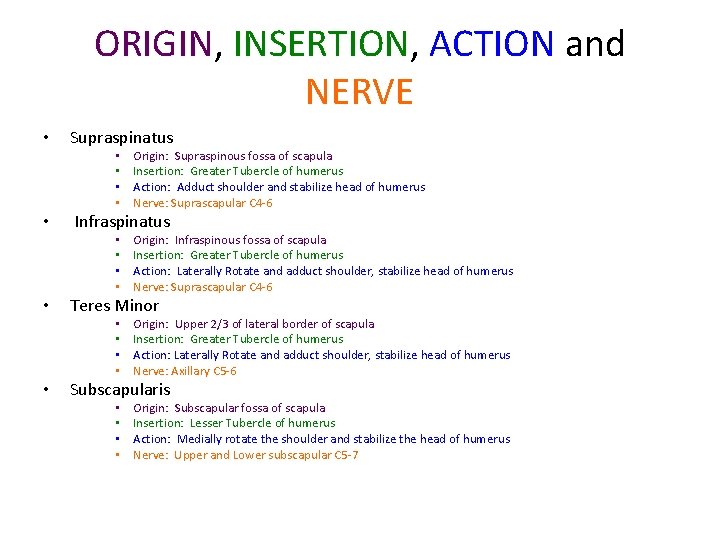 ORIGIN, INSERTION, ACTION and NERVE • Supraspinatus • • • Infraspinatus • • •