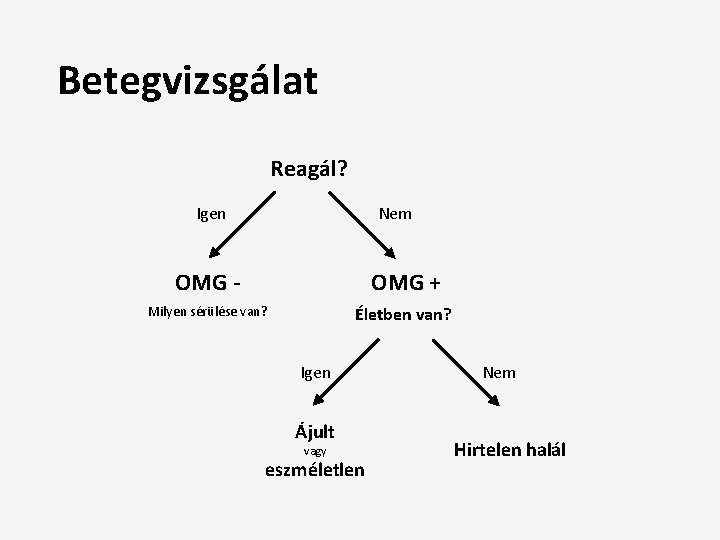 Betegvizsgálat Reagál? Igen Nem OMG - OMG + Milyen sérülése van? Életben van? Igen