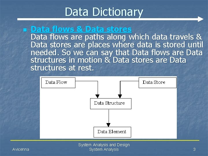 Data Dictionary n Avicenna Data flows & Data stores Data flows are paths along