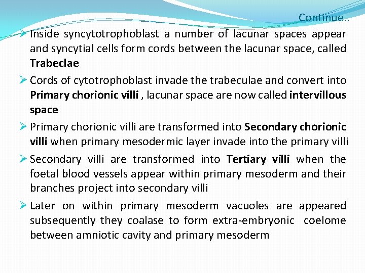 Continue. . Ø Inside syncytotrophoblast a number of lacunar spaces appear and syncytial cells