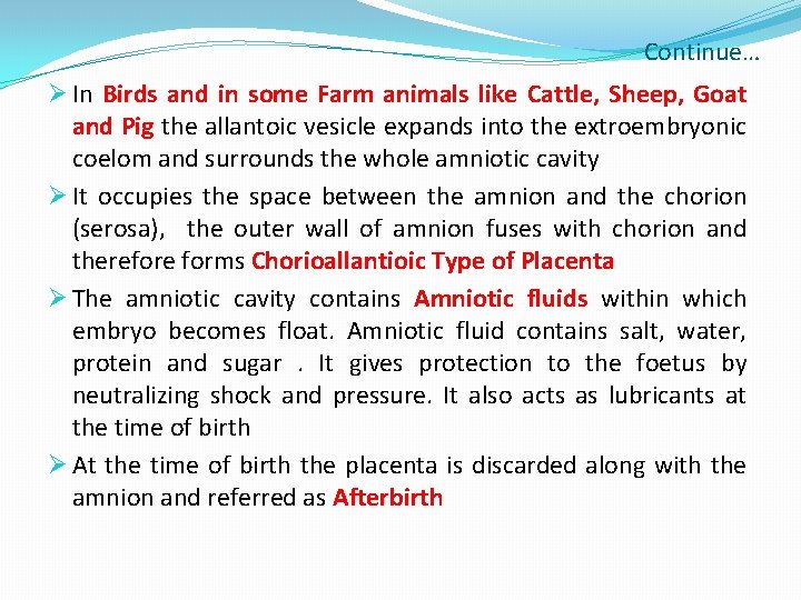 Continue… Ø In Birds and in some Farm animals like Cattle, Sheep, Goat and
