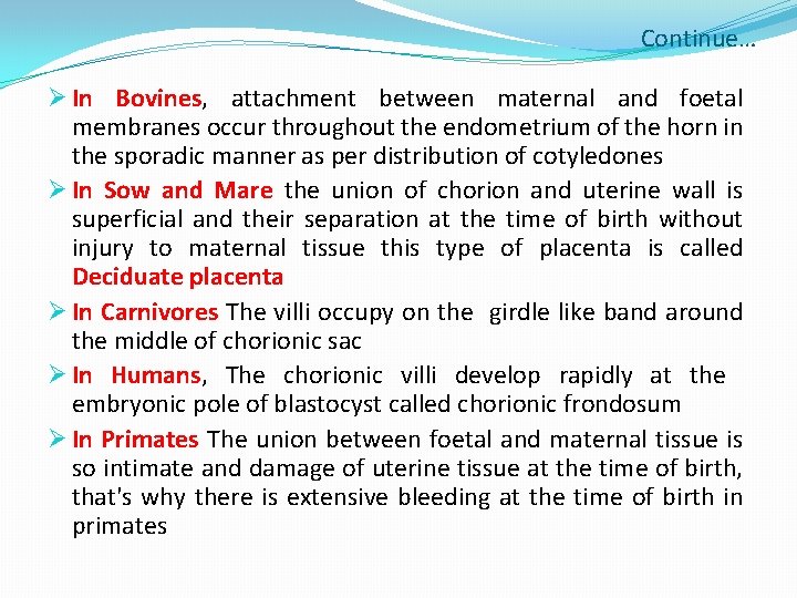 Continue… Ø In Bovines, attachment between maternal and foetal membranes occur throughout the endometrium