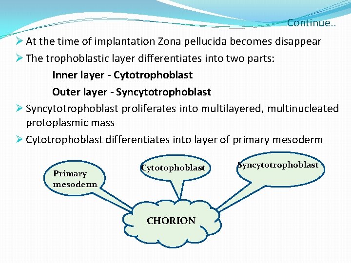 Continue. . Ø At the time of implantation Zona pellucida becomes disappear Ø The