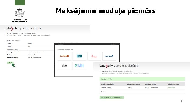 Maksājumu moduļa piemērs 43 