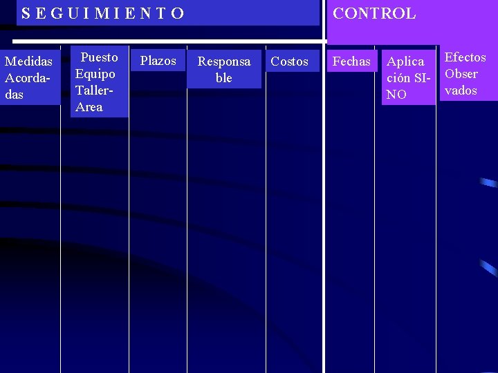 SEGUIMIENTO Medidas Acordadas Puesto Equipo Taller. Area Plazos CONTROL Responsa ble Costos Fechas Aplica