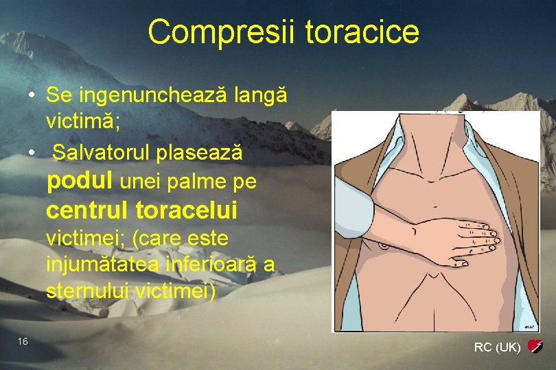 Compresii toracice • Se ingenunchează langă victimă; • Salvatorul plasează podul unei palme pe