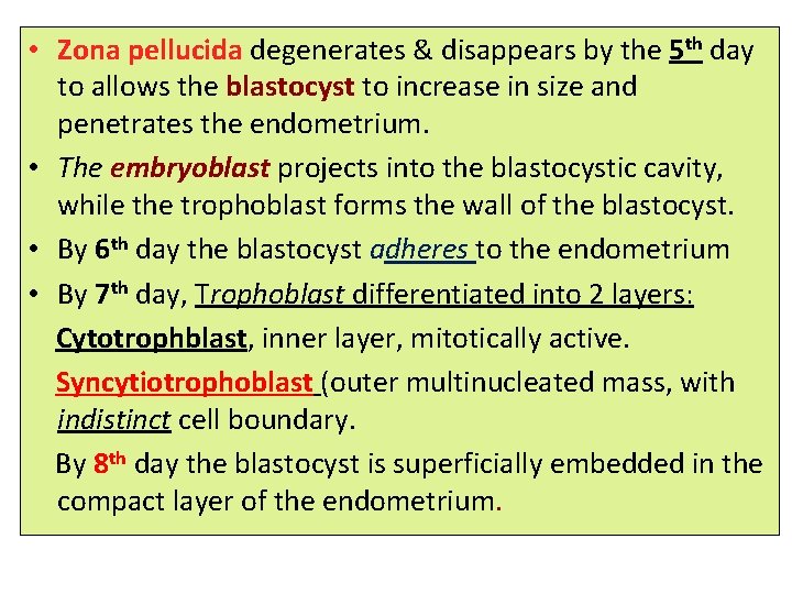  • Zona pellucida degenerates & disappears by the 5 th day to allows