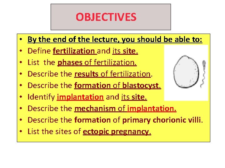OBJECTIVES • • • By the end of the lecture, you should be able