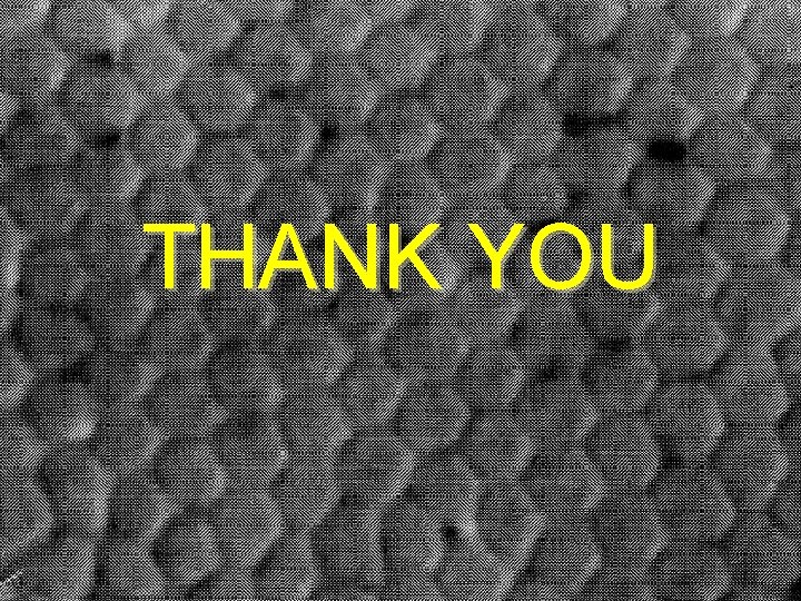 THANK YOU 