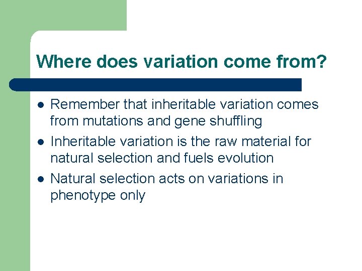 Where does variation come from? l l l Remember that inheritable variation comes from