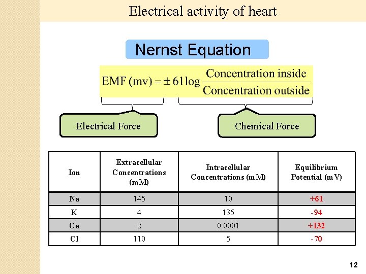 Electrical activity of heart Nernst Equation Electrical Force Chemical Force Ion Extracellular Concentrations (m.