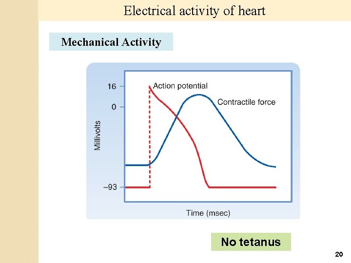 Electrical activity of heart Mechanical Activity No tetanus 20 