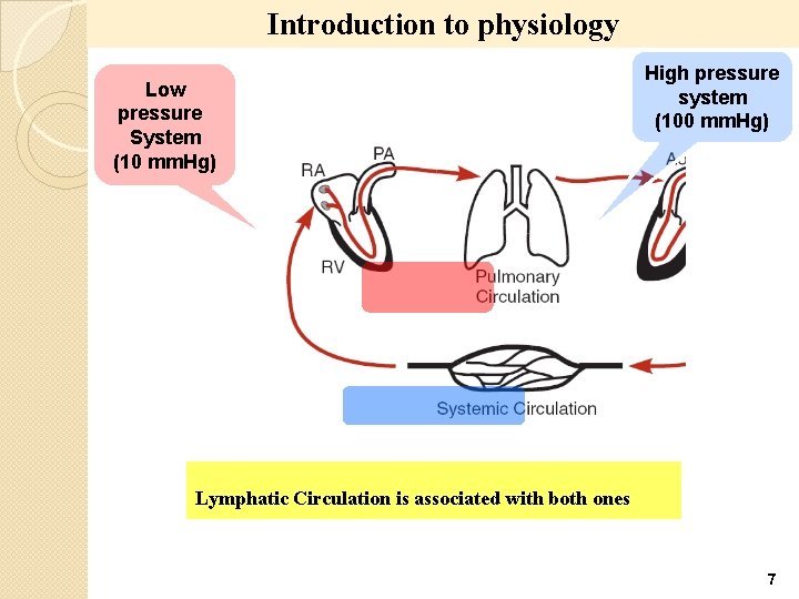 Introduction to physiology Low pressure System (10 mm. Hg) High pressure system (100 mm.