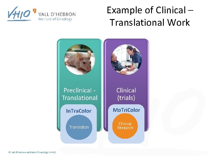 Example of Clinical – Translational Work In. Tra. Color Translation © Vall d'Hebron Institute