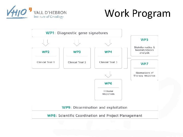 Work Program 