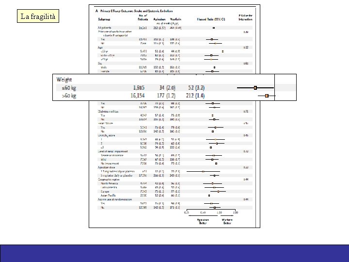La fragilità 