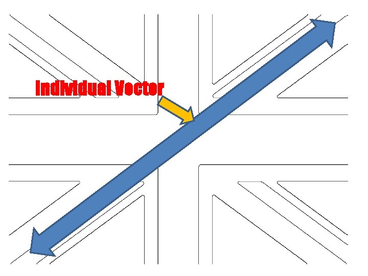 Individual Vector 