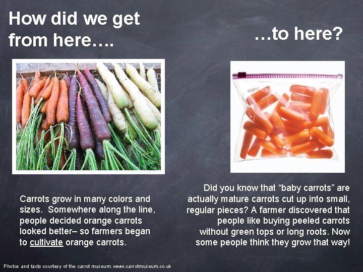 How did we get from here…. Carrots grow in many colors and sizes. Somewhere
