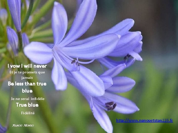 I vow I will never Et je te promets que jamais Be less than